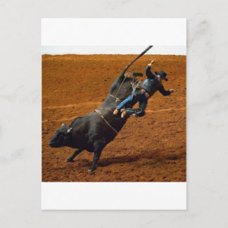 Bull Rider Vykort