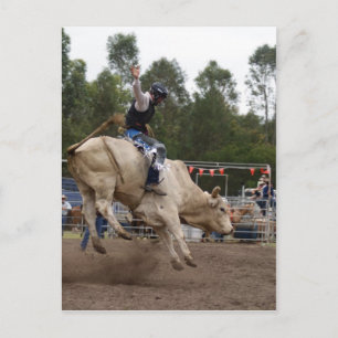 BULL RIDING BERT VYKORT