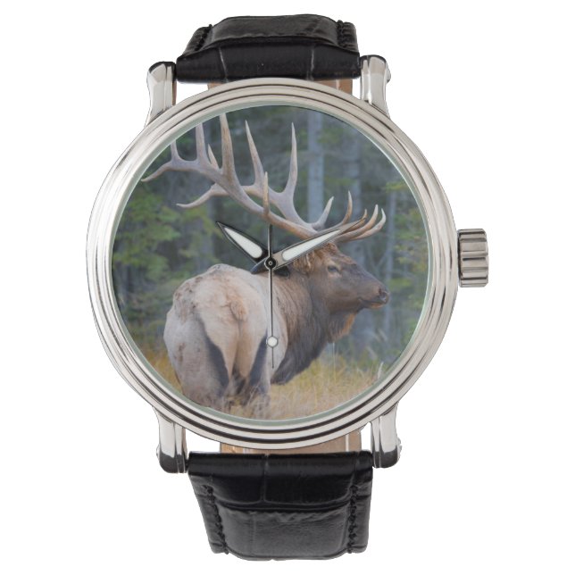 Bull Rocky Mountain Elk Armbandsur (Framsida)