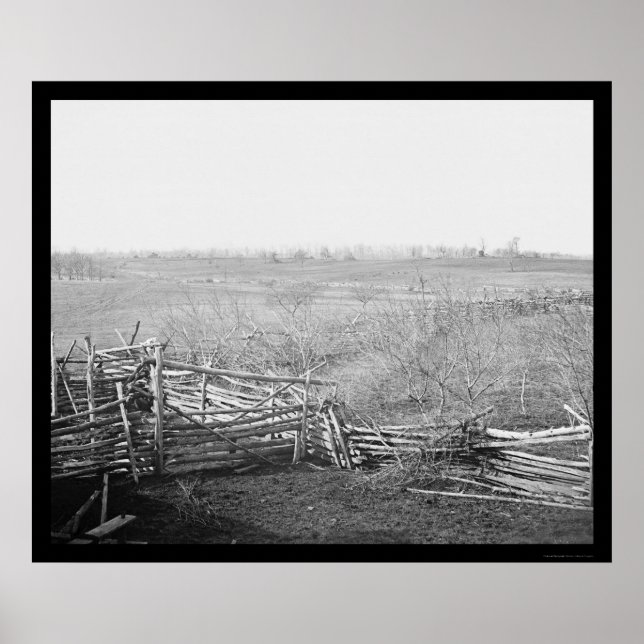 Bull Springa Battlefield 1861 Poster (Framsidan)