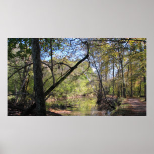 Bull Springa Trail Poster