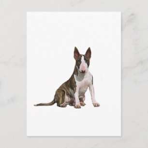 Bull Terrier (B) - Brindle and white Vykort