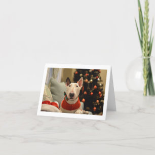Bull Terrier Fläskband Julgran Folding Card Kort