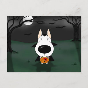 Bull Terrier Halloween Vampire Vykort