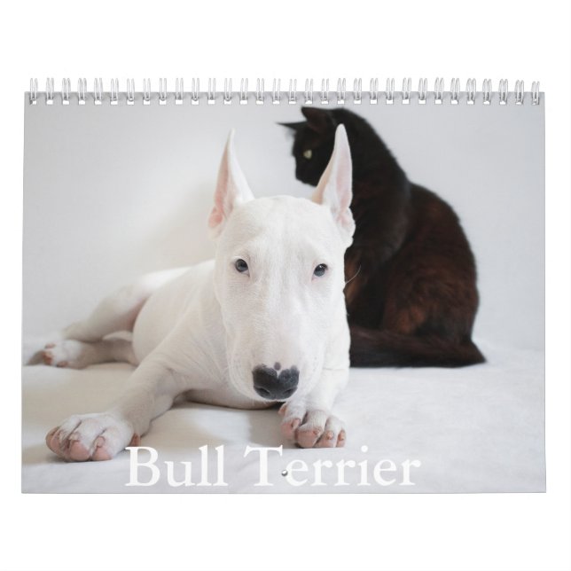 Bull Terrier Hund Calendar Kalender (Omslag)