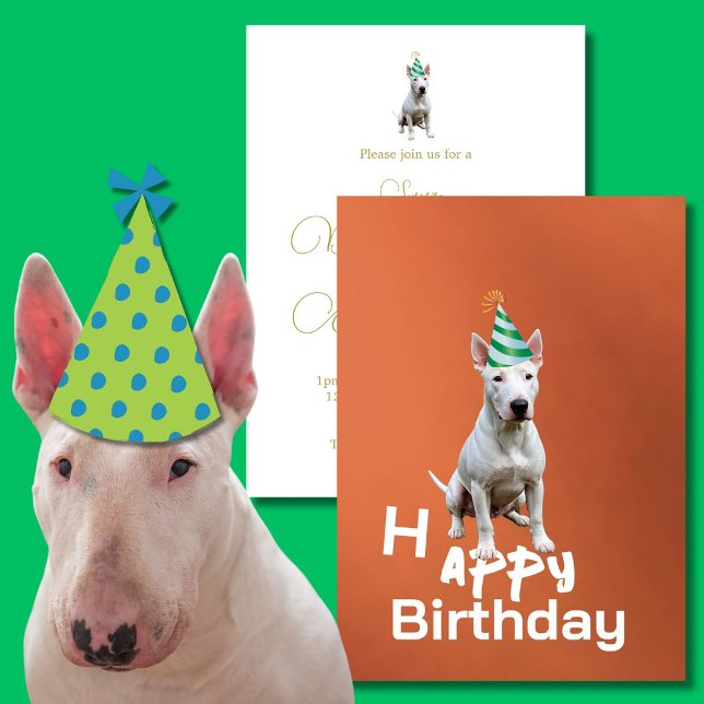 Bull Terrier Hund Födelsedagsfest inbjudan (Skapare uppladdad)