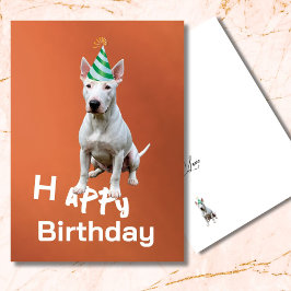 Bull Terrier Hund Grattis på födelsedagen-hälsning