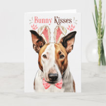 Bull Terrier Hund i kaninöron för påsk