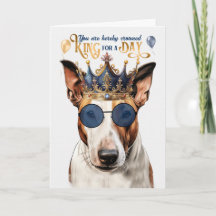 Bull Terrier Hund Kung för en dag på födelsedagen