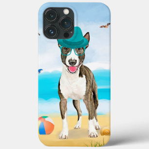 Bull Terrier Hund på Strand