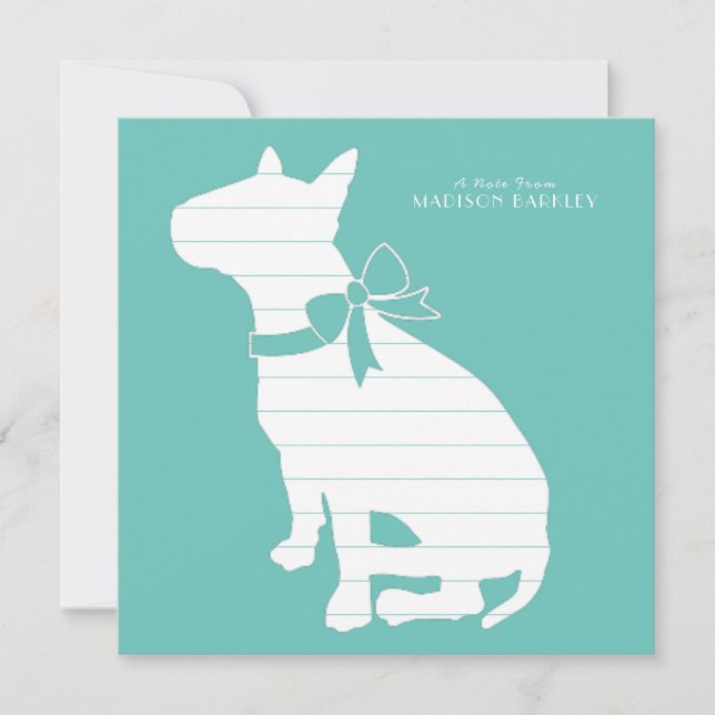 Bull Terrier Hund Valp Tack Kort (Framsida)