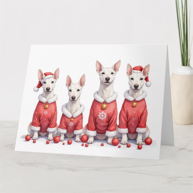 Bull Terrier julklänning tomtehatt Kort (Framsida)