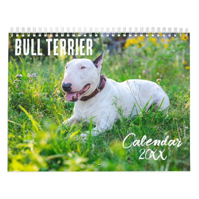 Bull Terrier, kalender 2026 (Omslag)