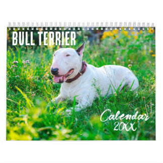 Bull Terrier, kalender 2026
