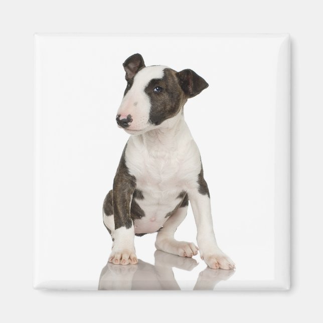 Bull Terrier Magnet (Framsidan)