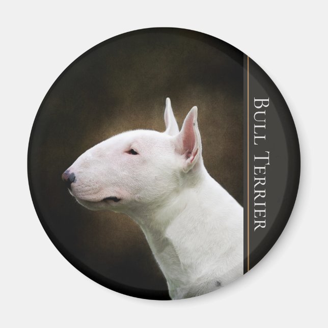 Bull Terrier Magnet (Framsidan)