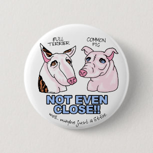 Bull Terrier NOT A Gris Knapp