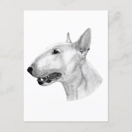 Bull Terrier pencil teckning Vykort