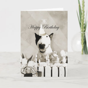 Bull Terrier Photo Card "Grattis på födelsedagen" Kort