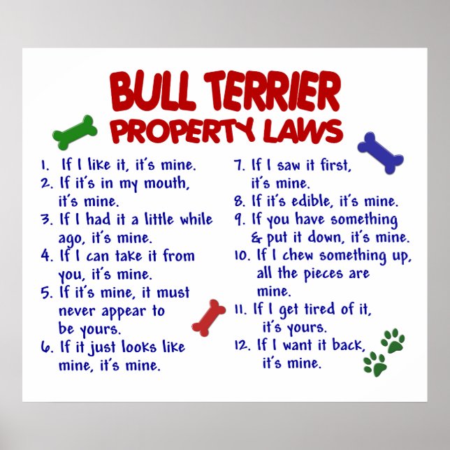 BULL TERRIER PL2 POSTER (Framsidan)