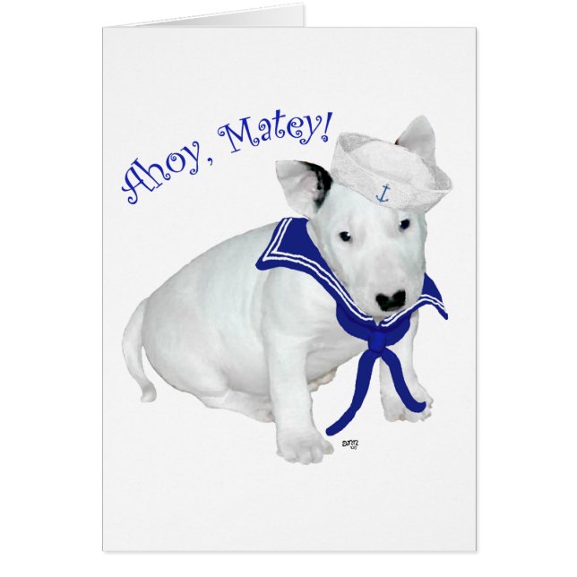 Bull Terrier Puppy Sailor Hälsningskort (Framsidan)