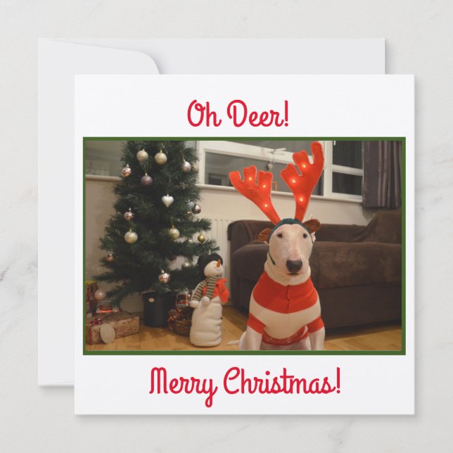 Bull Terrier Reindeer julfonny Kort (Framsida)