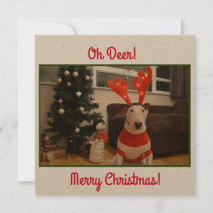 Bull Terrier Reindeer julfonny Kort