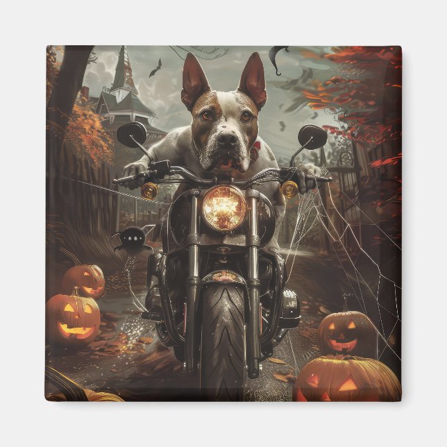 Bull Terrier Riding Motorcycle Halloween Scary Magnet (Framsidan)