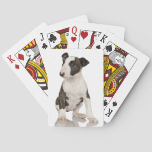 Bull Terrier Spelkort