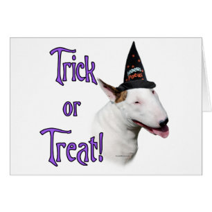 Bull Terrier Trick Hälsningskort