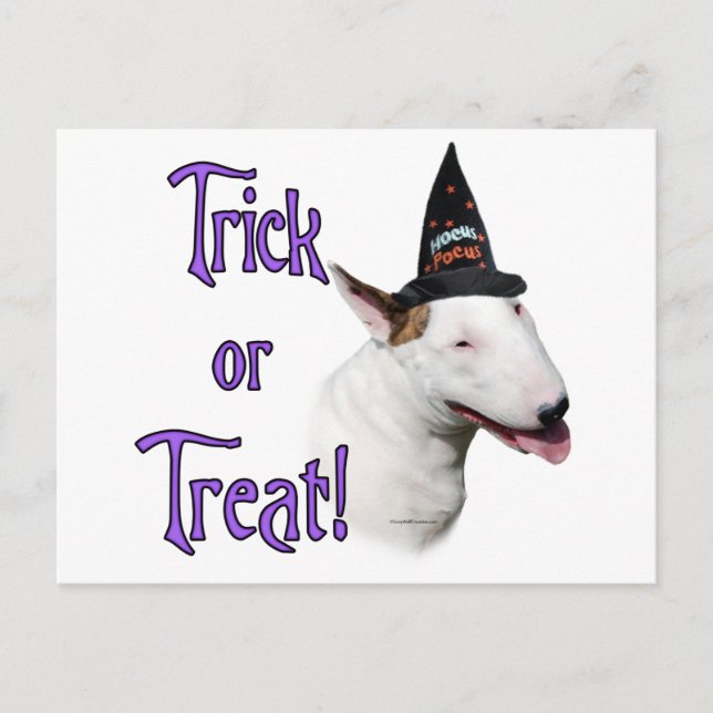 Bull Terrier Trick Vykort (Framsida)
