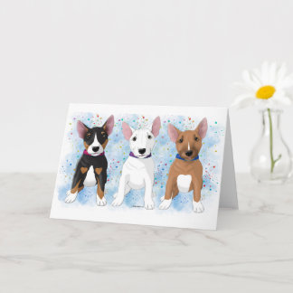 Bull Terrier Trio Kort