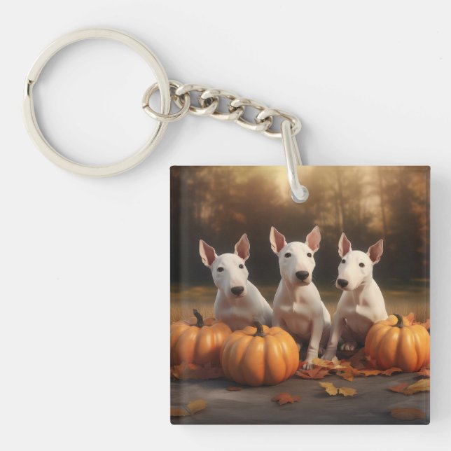 Bull Terrier Valp Höstglädje Pumpa (Framsidan)