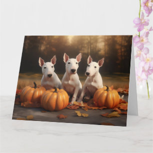 Bull Terrier Valp Höstglädje Pumpa Kort