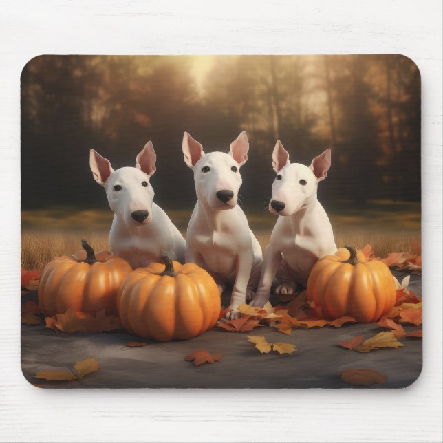 Bull Terrier Valp Höstglädje Pumpa Musmatta (Framsidan)