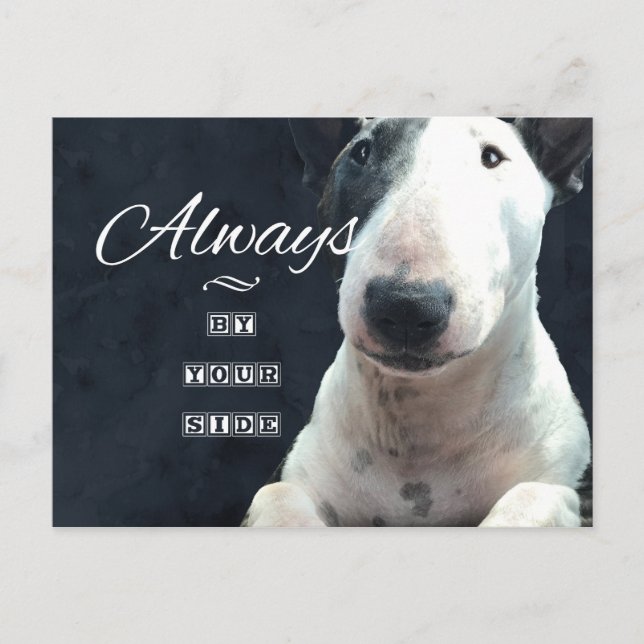 Bull Terrier vykort "Alltid vid din sida" (Framsida)