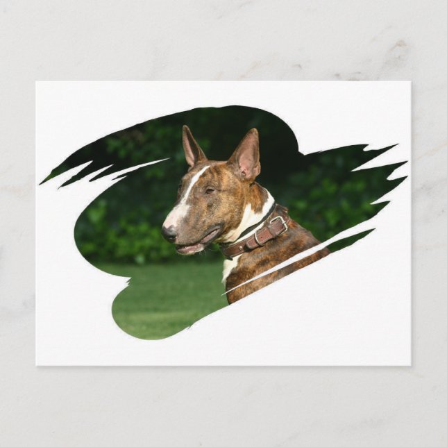 Bull Terrier-vykort Vykort (Framsida)