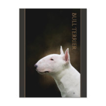 Bull Terrier-vykort
