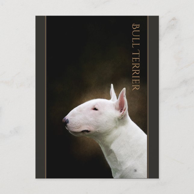 Bull Terrier-vykort Vykort (Framsida)