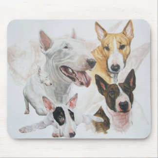 Bull Terrier wGhost Musmatta