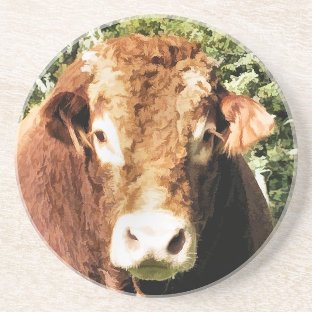 BULL UNDERLÄGG (Framsidan)