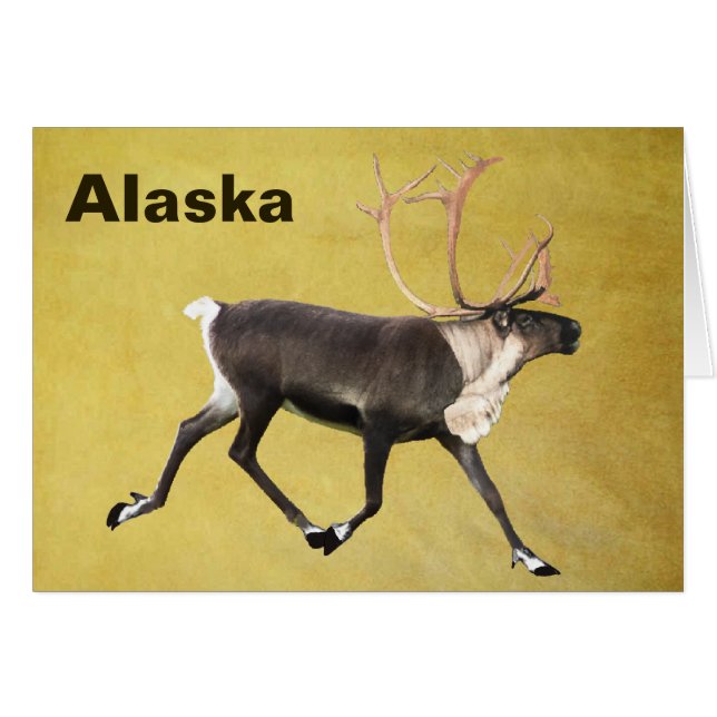 Bull Västindiou Hälsningskort (Framsidan Horizontal)