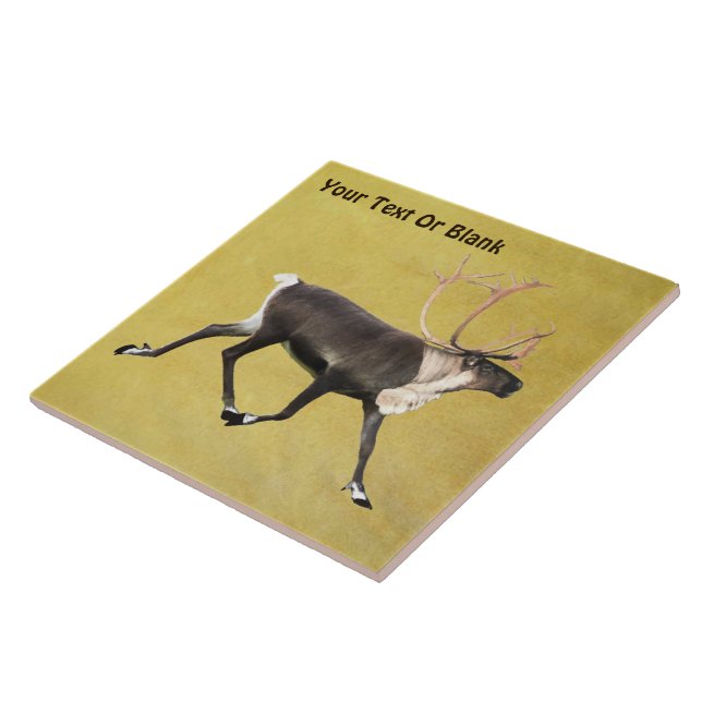 Bull Västindiou Kakelplatta (Sidan)