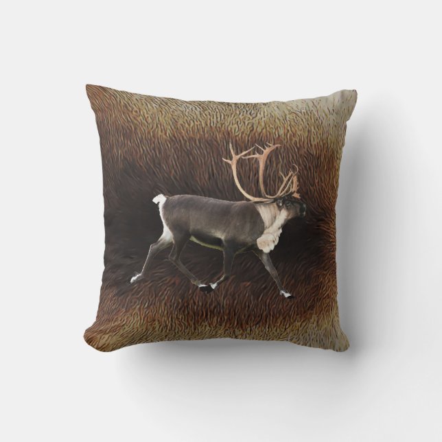 Bull Västindiou (renare) Kudde (Framsida)