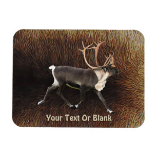 Bull Västindiou (renare) Magnet