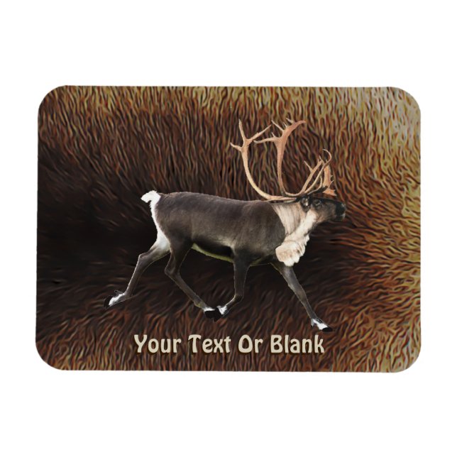 Bull Västindiou (renare) Magnet (Horisontell)