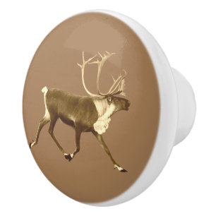 Bull Västindiou - Sepia Knopp