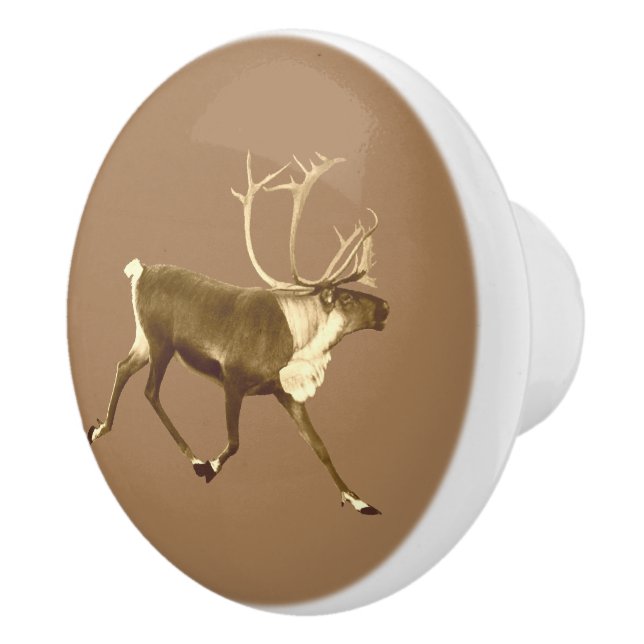 Bull Västindiou - Sepia Knopp (Höger)