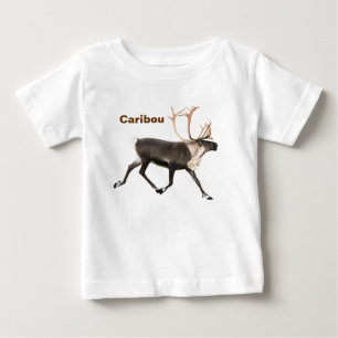 Bull Västindiou T-shirt