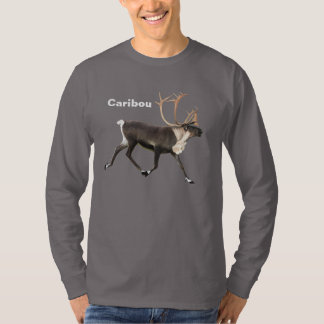Bull Västindiou Tee Shirt
